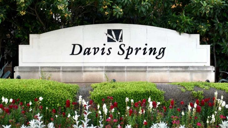 Davis Spring Neighborhood